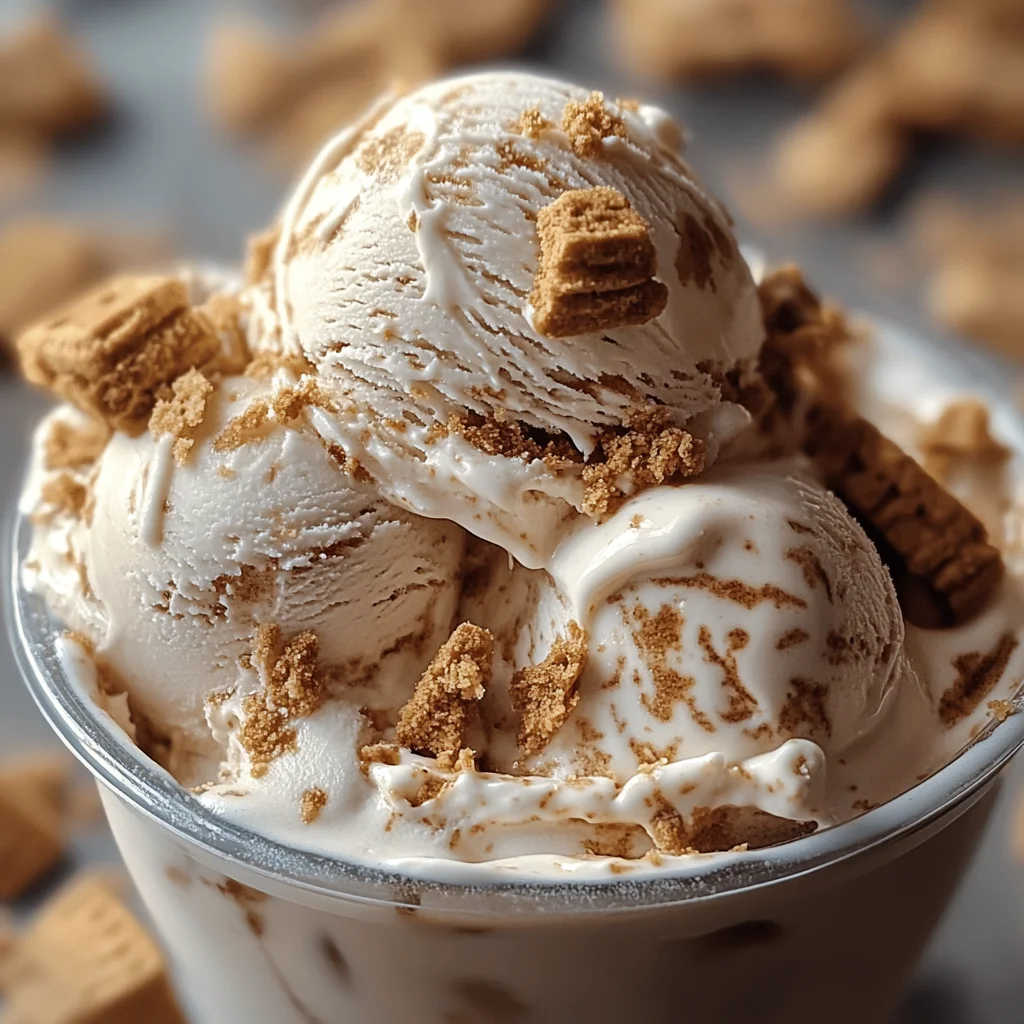 Creamy Homemade Biscoff Ice Cream